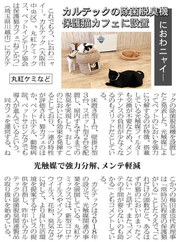 猫かつ(化工日記事)20230628.png