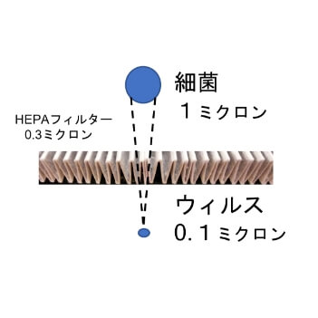 ウイルスの大きさ